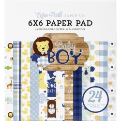 1/2 набора бумаги (12 л) - Baby Boy - Echo Park