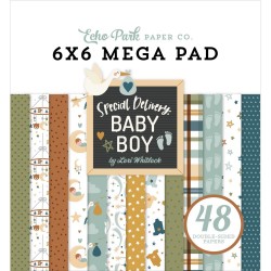 1/3 набору паперу 15х15 см (16 л) - Special Delivery Baby Boy Cardmakers - Echo Park Paper