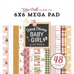 1/3 набору паперу 15х15 см (12 л) - Special Delivery Baby Girl Cardmakers - Echo Park Paper